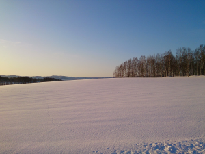 20140209_nayoro