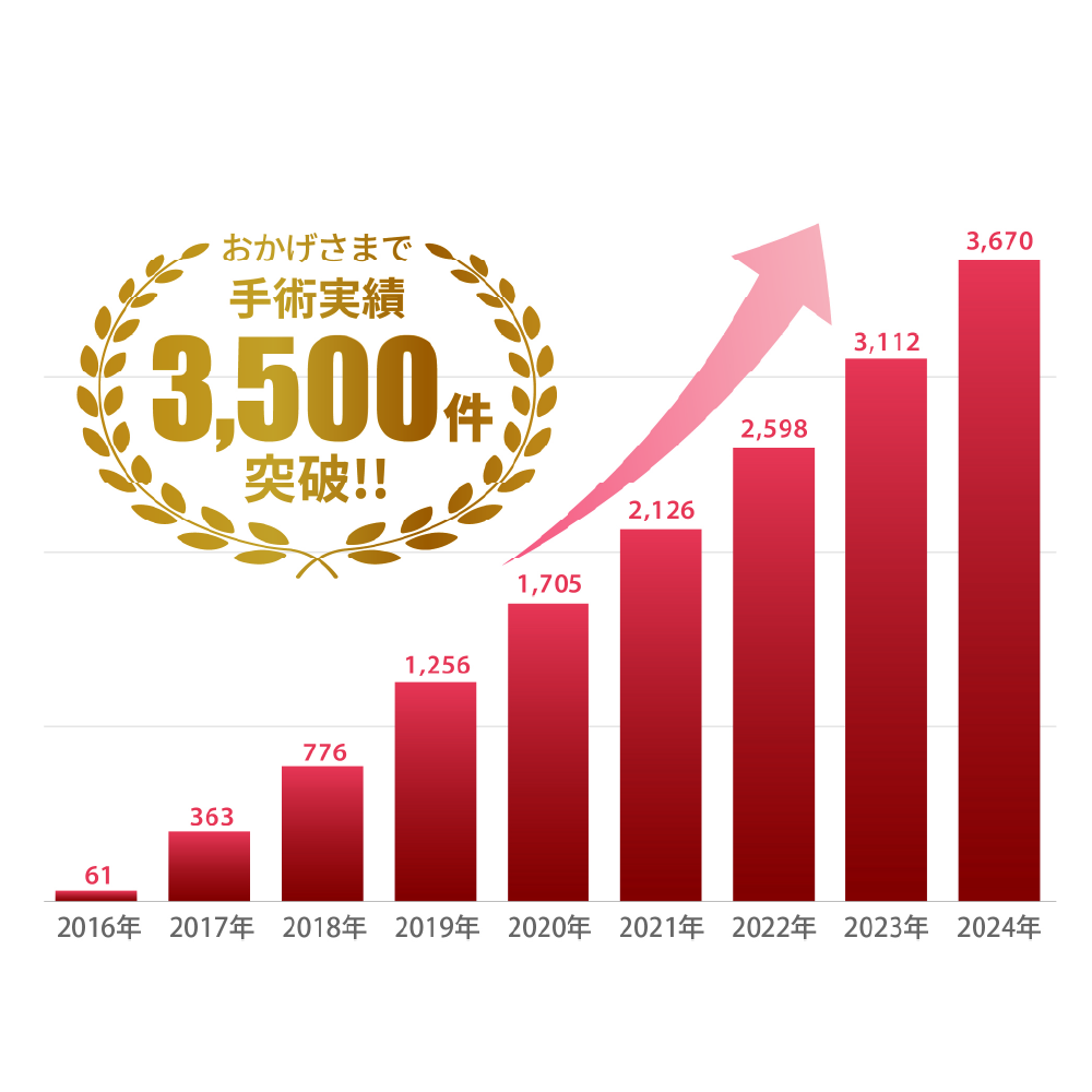 手術実績グラフ